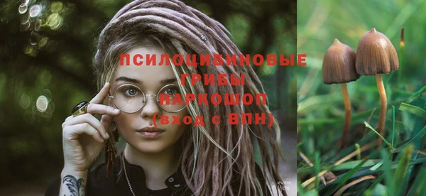 стаф Балабаново