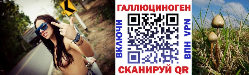 наркошоп Волжск OMG ТОР Галлюциногенные грибы прущие грибы